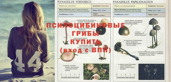 прущая мука Алексеевка